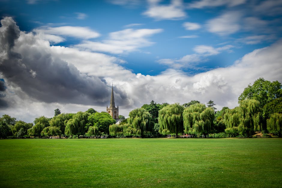 This image captures a serene view of a lush, expansive green park with well-maintained grass under a partly cloudy sky. In the background, a row of mature willow trees with cascading, vibrant green fo